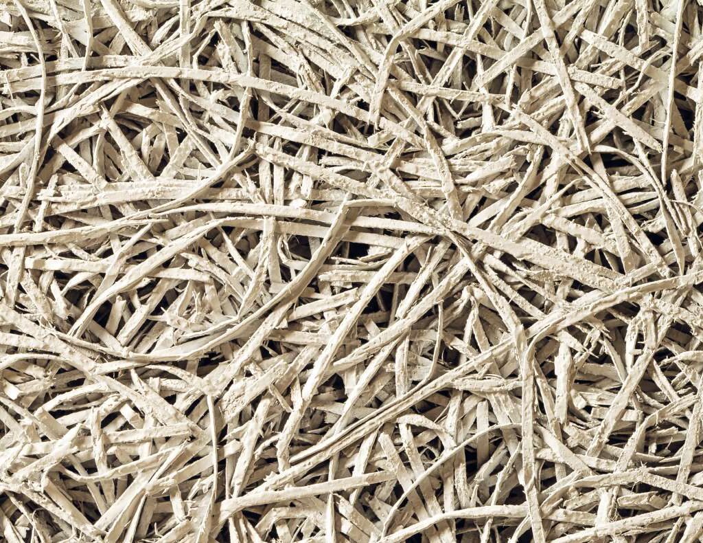 Globacustic-32-macro-3mm_web